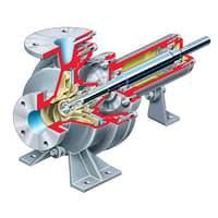 Flowserve Industrial Process Pump, D800